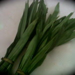 pandan leaves