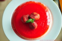 Coconut Milk Pana Cotta with Jelly