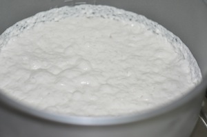 batter fermented - Appam with Ground Rice (Traditional Method) 