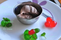 Nutella Home Made Icecream – Very Simple