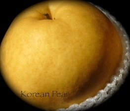 korean pear Bulgogi Beef Stew (with Coconut Cream)