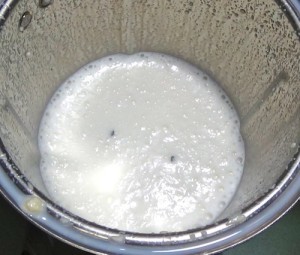 frothy for badam milk