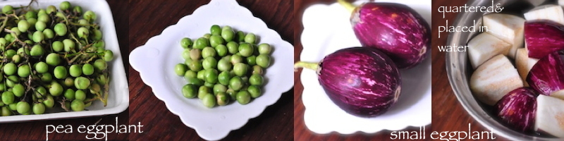 pea eggplant for Thai Green Curry Chicken