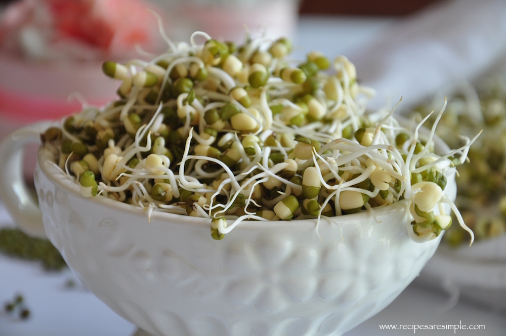 best way to spout mung beans