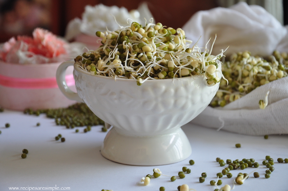 how to sprout mung beans 1