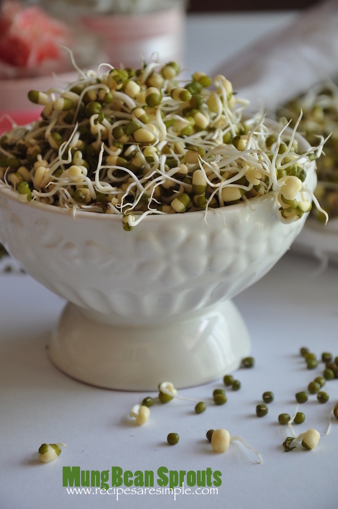 how to sprout mung beans