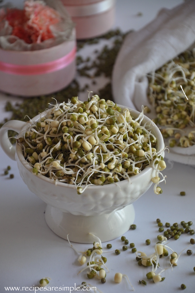 mung bean sprouts