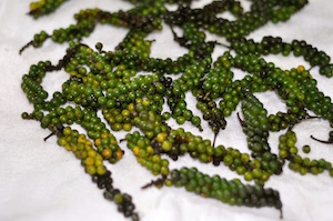 Green Peppercorn in Brine Recipe 2