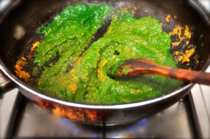 Palak Chicken 16 stir puree