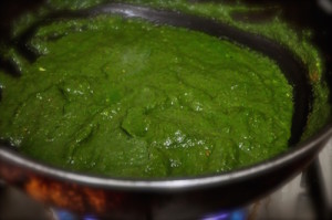 Palak Chicken 17 add water