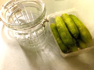 dill pickles 1