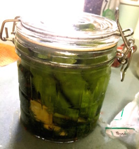 dill pickles 10