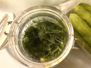 dill pickles 2