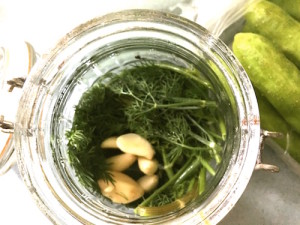 dill pickles 3