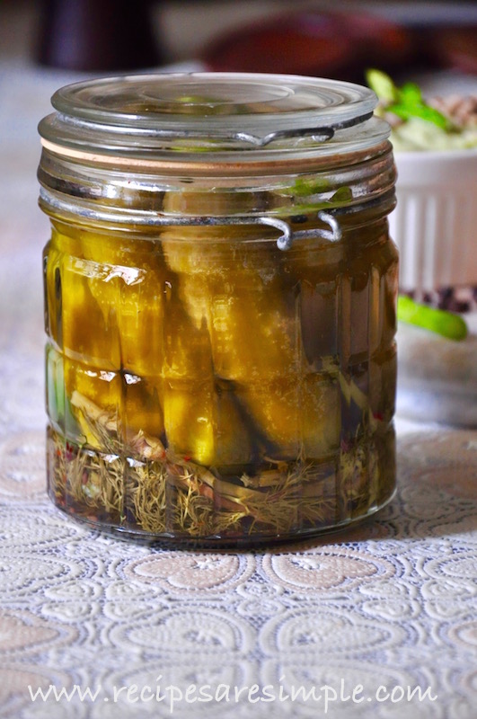 dill pickles quick refrigerator pickles