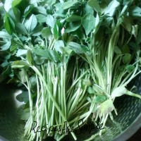 fenugreek leaves