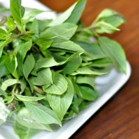 thai basil