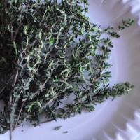 thyme herb