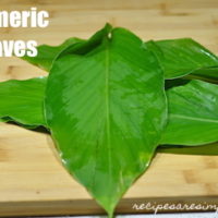 turmeric leaves | daun kunyit