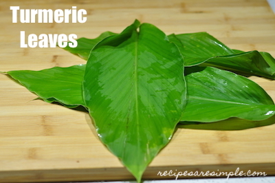 turmeric leaves | daun kunyit