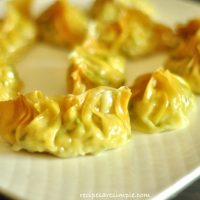 Chinese Steamed Dumplings- Chinese Chicken Dumplings