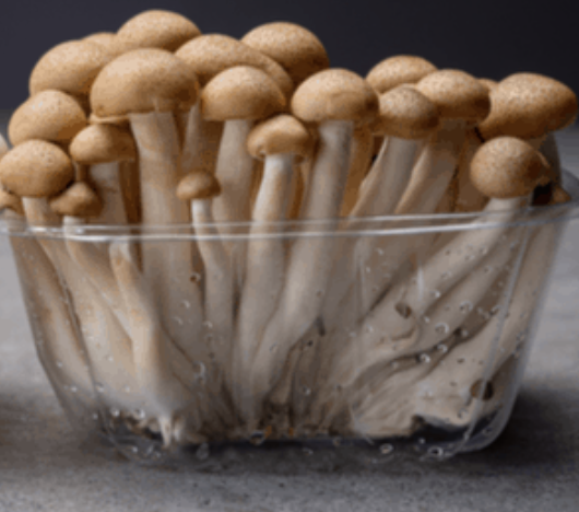 shimeji mushroom Quick Creamy Mushroom Spaghetti