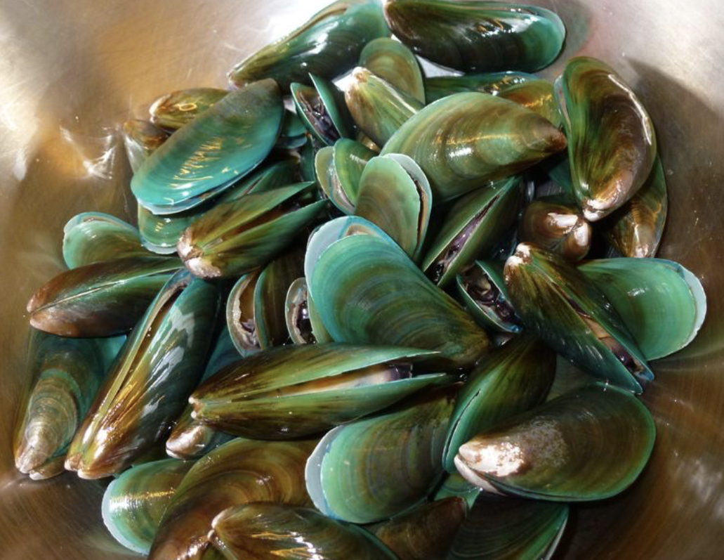 mussels